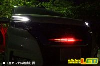 画像2: グリルイルミネーションキット